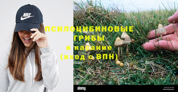 мдпв Гусь-Хрустальный