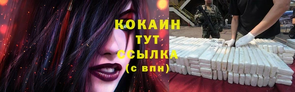 мескалин Гусев