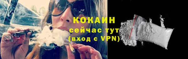 мдпв Гусь-Хрустальный