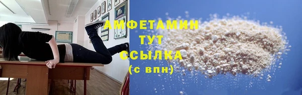 мдпв Гусь-Хрустальный