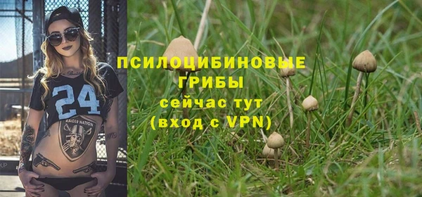 мескалин Гусев