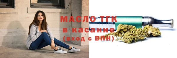 мдпв Гусь-Хрустальный