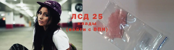spice Гусиноозёрск