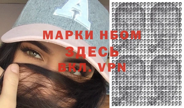 мдпв Гусь-Хрустальный