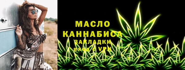 мдпв Гусь-Хрустальный