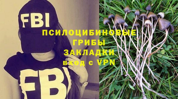 мескалин Гусев