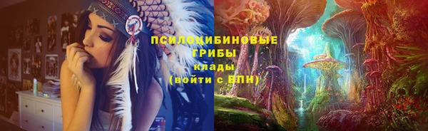мдпв Гусь-Хрустальный