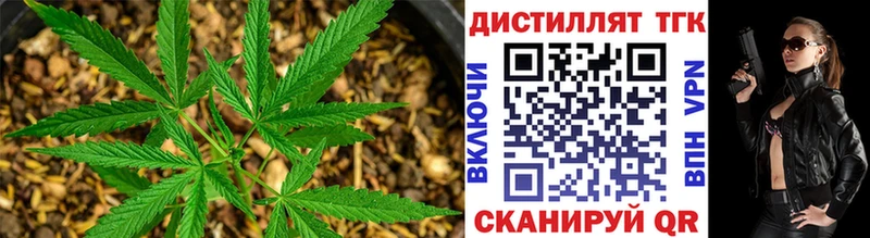 ТГК концентрат  Купить  Можга 
