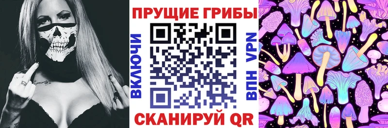 Купить где  Можга  Псилоцибиновые грибы GOLDEN TEACHER 