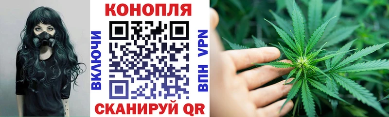 Купить  Можга  Бошки марихуана семена 